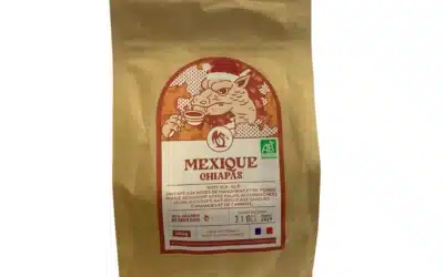 Café Grains spéciale Noël – Grainoully – Mexique Chiapas – 250g